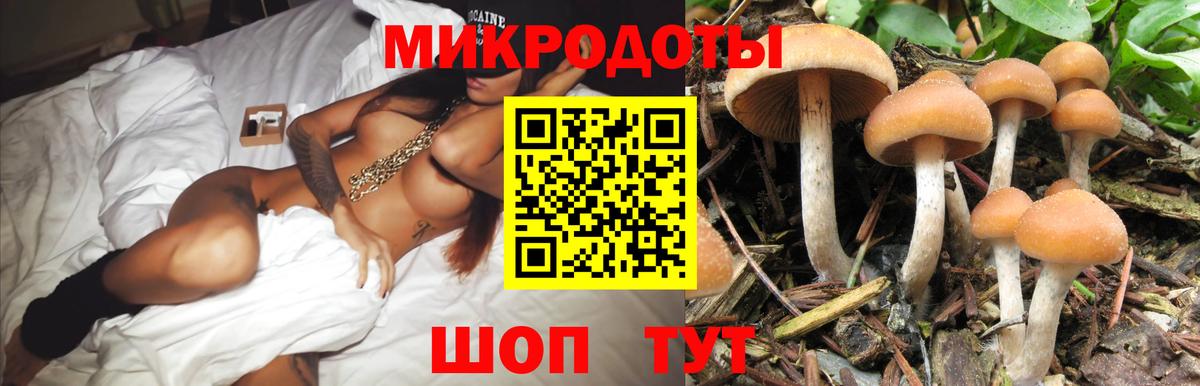 Чернушка  Псилоцибиновые грибы Magic Shrooms  Галлюциногенные грибы мухоморы  Вход с VPN 
