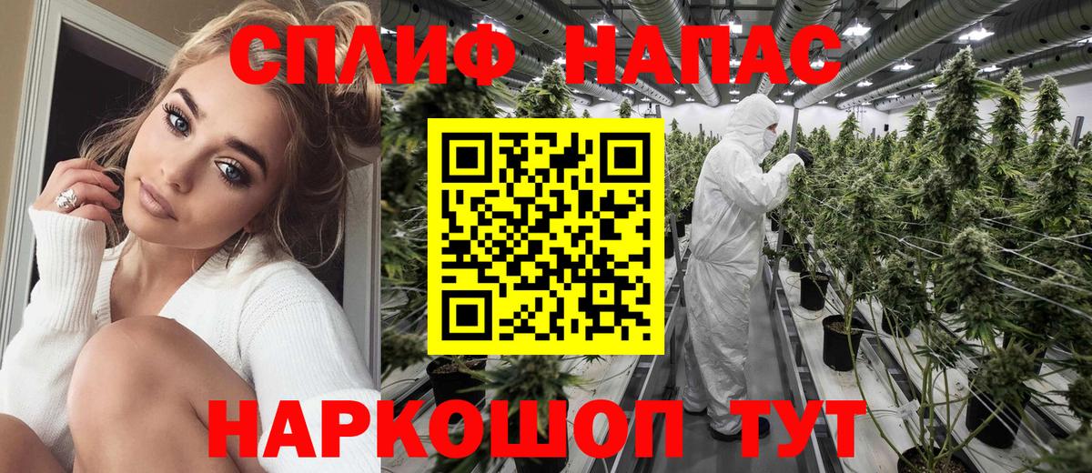 Чернушка  МАРИХУАНА Amnesia  МАРИХУАНА планчик  Вход с VPN 